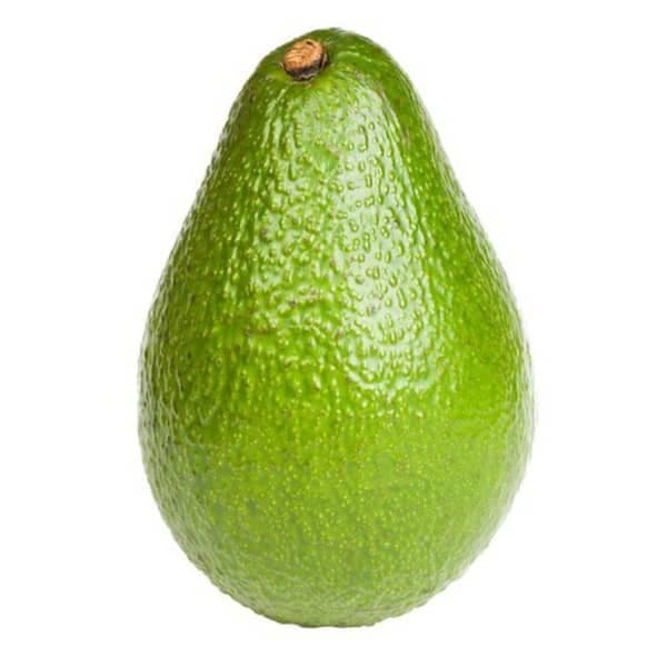 Large Avocado