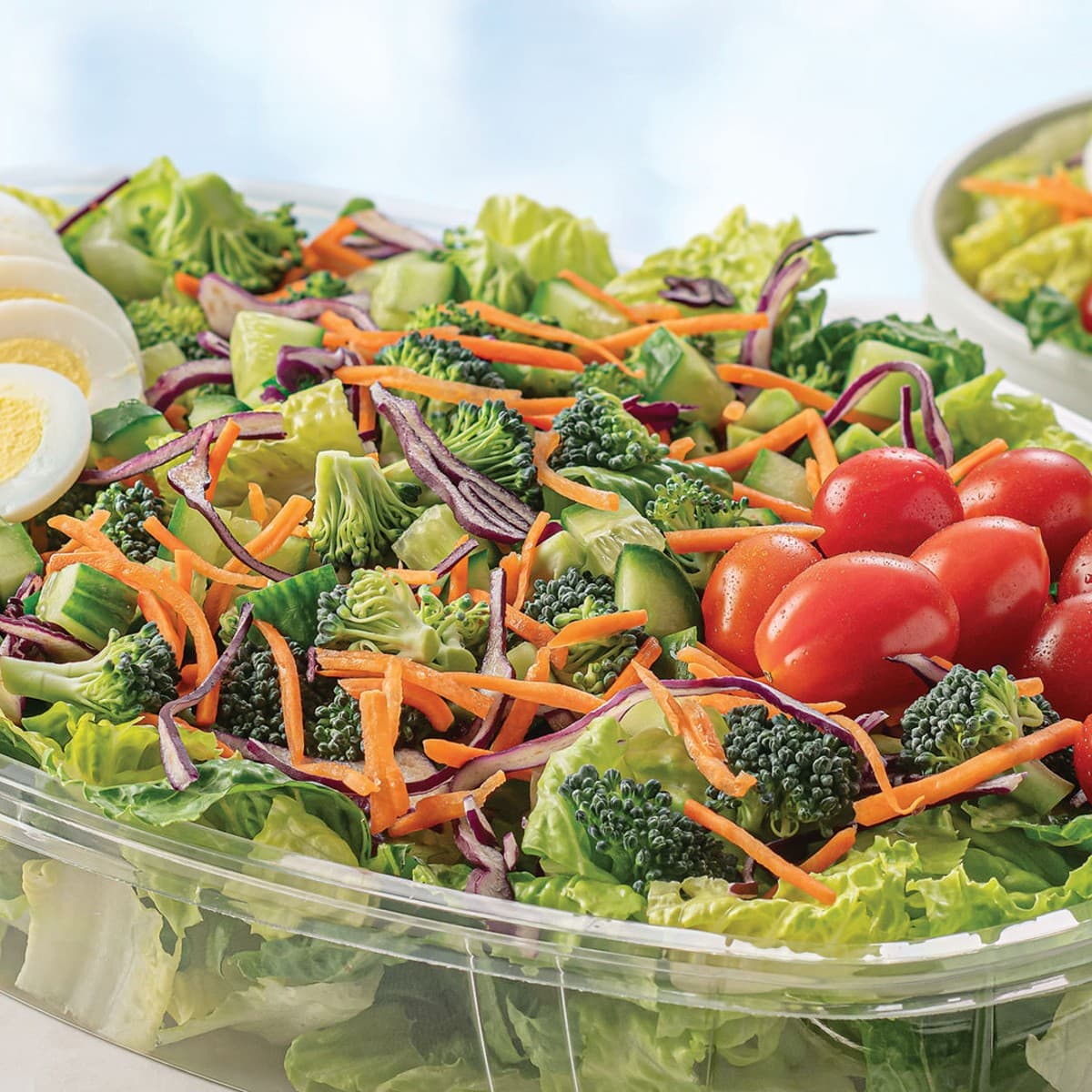 Family Garden Salad - Serves 3-4