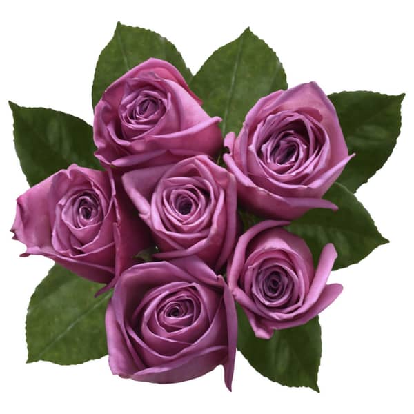 6 Stem Rose Bunch
