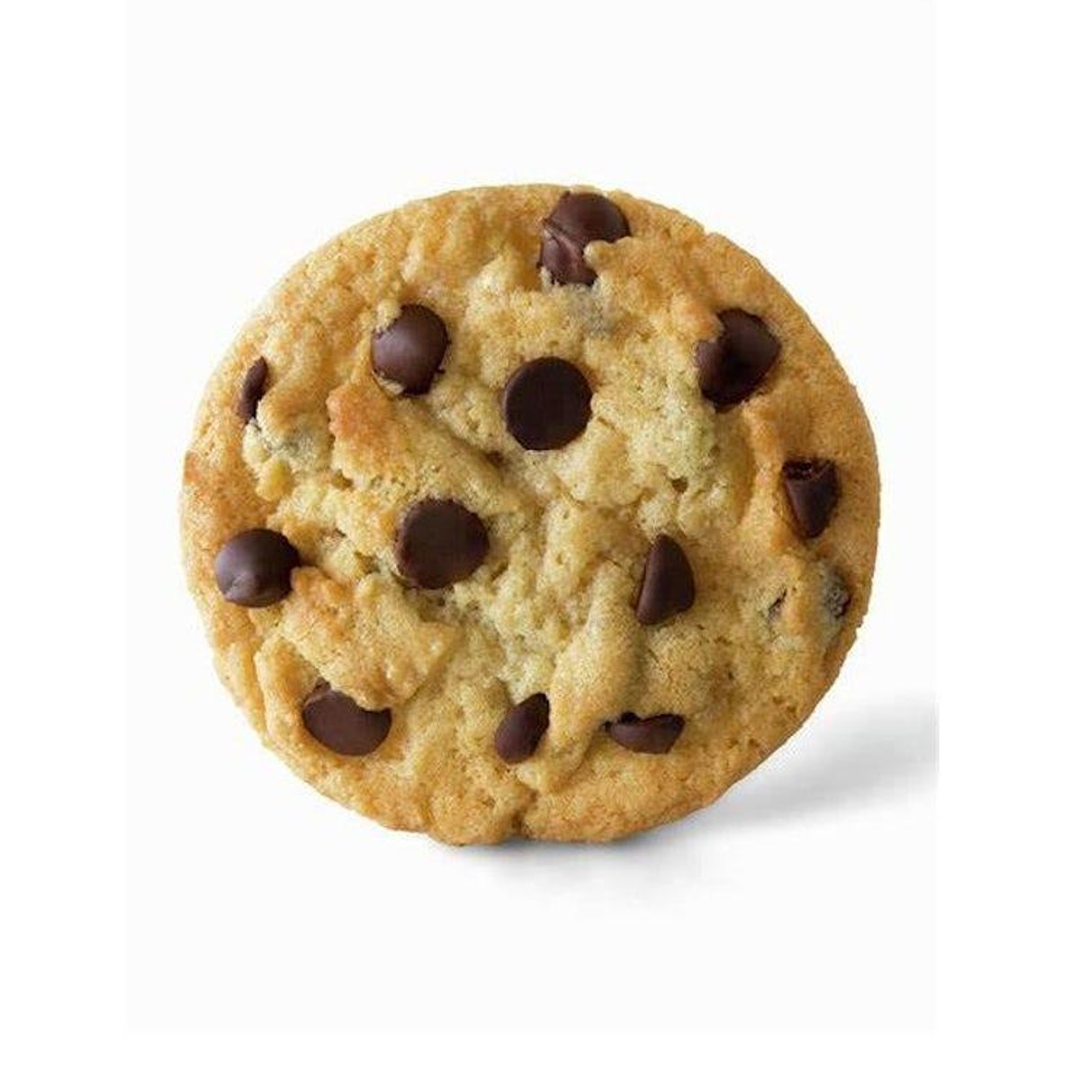 Cookie Chocolate Chip