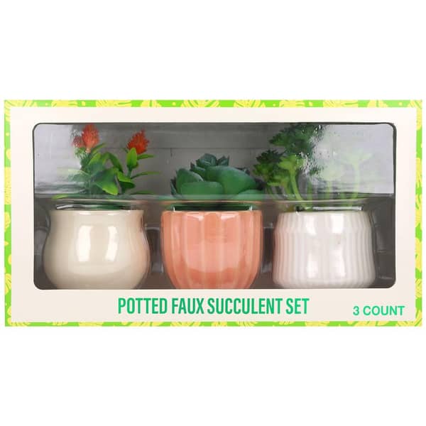 Festive Voice Potted Faux Succulent Set